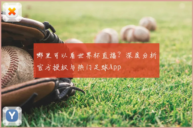 哪里可以看世界杯直播？深度分析官方授权与热门足球App
