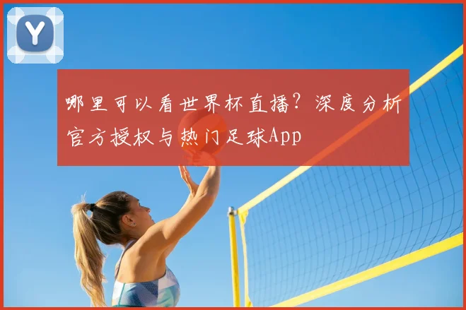 哪里可以看世界杯直播?深度分析官方授权与热门足球App